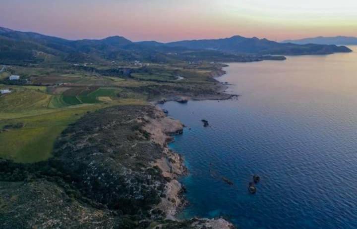 'Sophie'S Villa' Akrotiri  Eksteriør bilde