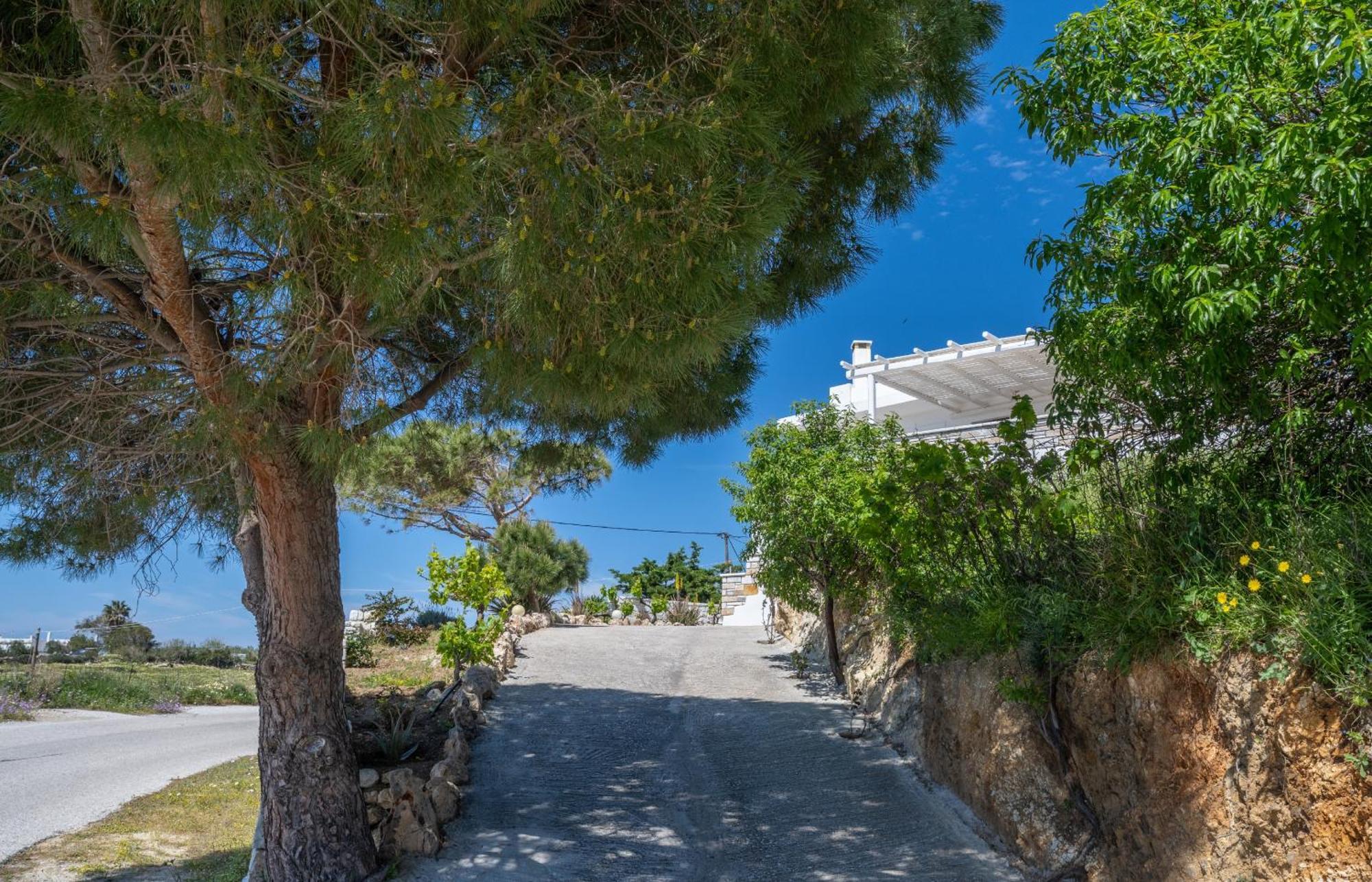 'Sophie'S Villa' Akrotiri  Eksteriør bilde